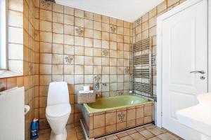 a bathroom with a green tub and a toilet at 10253-Ulfborg-Sognegardsvej-13 in Ulfborg +24 photos