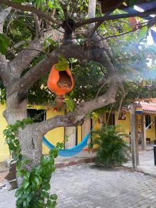 an orange light is hanging from a tree at Portal do Sol in Canoa Quebrada