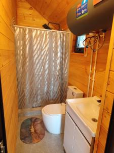 a small bathroom with a toilet and a sink at Noygut in Dzhetyoguz
