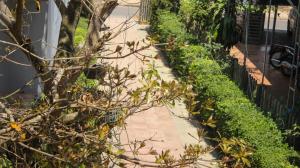 a sidewalk next to a fence with plants at Hue garden homestay in Thôn Trường Giang +48 photos