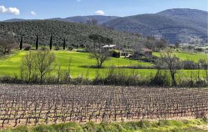 a cultivated field with trees and mountains in the background at Umbria Magione Podere C in Magione +27 photos