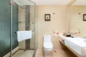 a bathroom with a toilet and a sink and a shower at 都江堰国堰宾馆 in Dujiangyan +34 photos