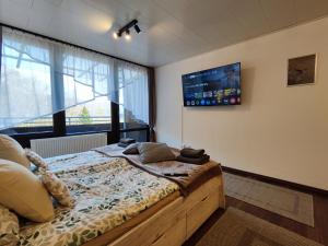 a bedroom with a bed with a tv on the wall at Ferienwohnung Sonnenhang in Riedenburg