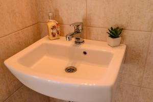 a white sink with a bottle of soap and a plant at Radazul Apart de Mar & Campo in Chapadmalal +27 photos