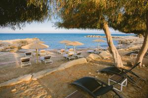 a group of chairs and umbrellas on a beach at Elya Beach Luxury Suites in Ayios Theodhoros