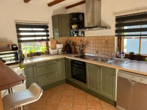 a kitchen with green cabinets and a sink at Gite Les Hirondelles in Langatte