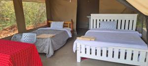 two beds in a room with a tent at NATURE LOVERS ADVENTUREs in Maasai Mara National Reserve