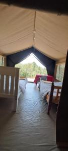 a room with a tent with two beds and a window at NATURE LOVERS ADVENTUREs in Maasai Mara National Reserve
