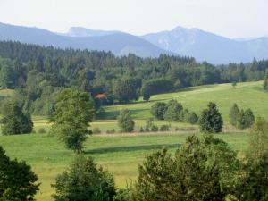 a green field with trees and mountains in the background at Fewo Bergruah in Bad Bayersoien
