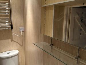 a bathroom with a toilet and a mirror at The Bittern in Holt +11 photos