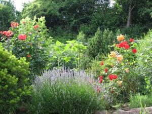 Κήπος έξω από το Bed & Breakfast La Val