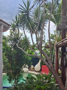 a palm tree next to a swimming pool at Chalet en bois accés piscine in La Possession