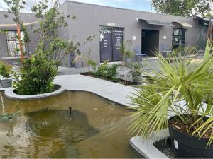 a pond in front of a building with plants at Day&Night Stay in Johannesburg