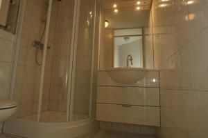 a bathroom with a shower and a sink and a toilet at De Groede in Oosterend