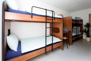 Gallery image of Casa di vacanza Giovanibosco in Bosco Gurin