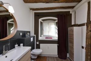 een badkamer met een wastafel, een toilet en een spiegel bij Zum Pinken Schaf in Ahrdorf