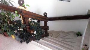 Fotografia z galérie ubytovania Apartments Ivka v Omise