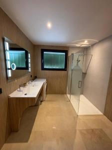 a bathroom with a sink and a shower at Logement Seigneur in Rambervillers