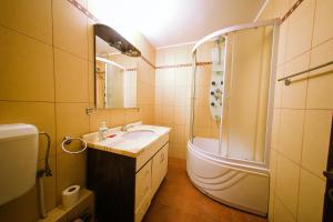 bagno con lavandino e doccia di Dream Residence 64 a Bucarest