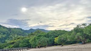 a dirt road with trees and mountains in the background at LA Komodo Homestay in Komodo