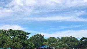 a group of trees and a blue sky with clouds at LA Komodo Homestay in Komodo