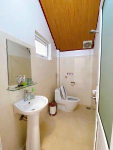 a bathroom with a sink and a toilet and a mirror at Tuong Vy Private Villa in Da Lat +24 photos