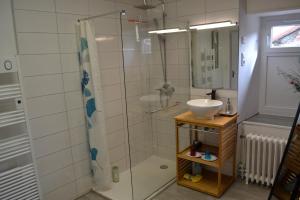 a bathroom with a shower and a sink at studio indépendant dans maison à la campagne in Égliseneuve-près-Billom