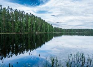 a large lake with trees on the shore at Minimotel in Tohmajärvi