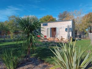 a tiny house in a yard with a palm tree at Tiny house Oléroncoast La-Brée-Les-Bains in La Brée-les-Bains