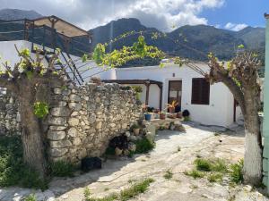a white house with a stone wall and two trees at Kavousi Cottages - O Stavlos in Kavoúsion