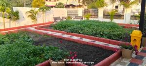 a garden with flowers and plants in a yard at aasara resort in Bhopal