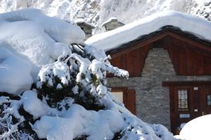 un árbol cubierto de nieve frente a una cabaña en Case Gran Paradiso Rhemes Saint Georges, en Rhemes-Saint-Georges