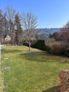 a large grassy yard with a tree in the middle at Alte Harcher Schule in Harra +18 photos