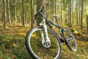 una bicicleta está estacionada en el bosque en Millygite Cosy Loft, en Milly-la-Forêt