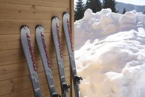 Skijanje kod kolibe ili u blizini