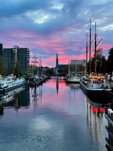 a group of boats docked in a marina at sunset at Het Hunebedje in Vries