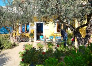 Zahrada ubytování B&B Mariposa