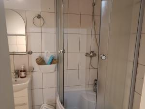 a bathroom with a shower and a toilet and a sink at Casa ANDA in Braşov +23 photos