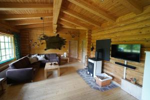 a living room with a couch and a tv and a fireplace at Blockhaus Fleesensee in Silz