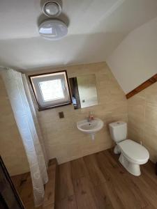 a bathroom with a toilet and a sink and a window at У Блищака in Pilipets +5 photos