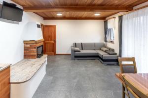 a living room with a couch and a table at Apartmaji Peternelj in Železniki