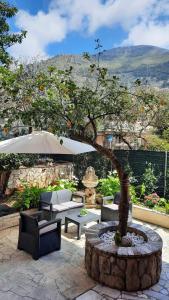 a tree in a courtyard with chairs and an umbrella at Golden Secret in Itri