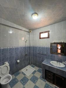 a bathroom with a toilet and a sink at Tamraght Sunny apartment in Tamraght Ouzdar +4 photos