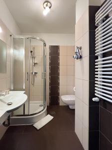 a bathroom with a shower and a sink and a toilet at Willa 654 in Szklarska Poręba +63 photos