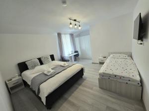 a bedroom with a bed and a desk in it at Vila Petro in Iaşi