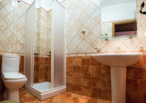 a bathroom with a toilet and a sink at Archontiko Velousi in Pantévgeni