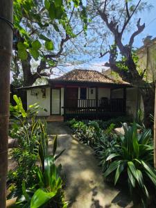 a house with a tree and some plants at Cemara Paradise Homestay in Pulau Gilimelayu