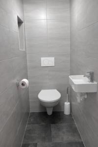 a bathroom with a toilet and a sink at Gemütliches Haus für Familien bis zu 7 Personen mit Parkplatz und ruhiger Lage in Selzthal +11 photos