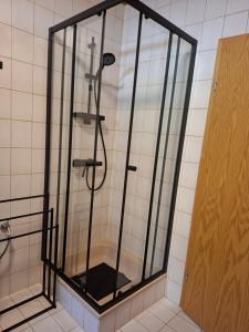 a shower with a glass enclosure in a bathroom at Gutheils-Ferienwohnung in Nanzdietschweiler +60 photos