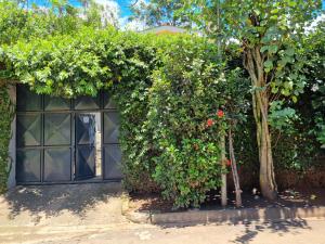 a door to a house with a large bush at WeniZani Backpackers Hostel Nairobi in Nairobi